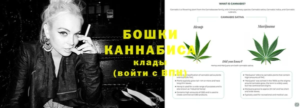 винт Алексеевка