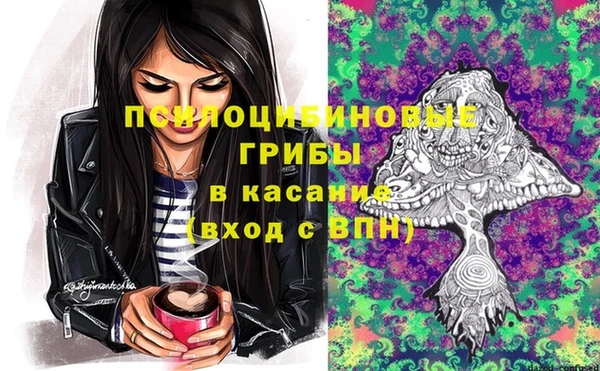 амф Алзамай
