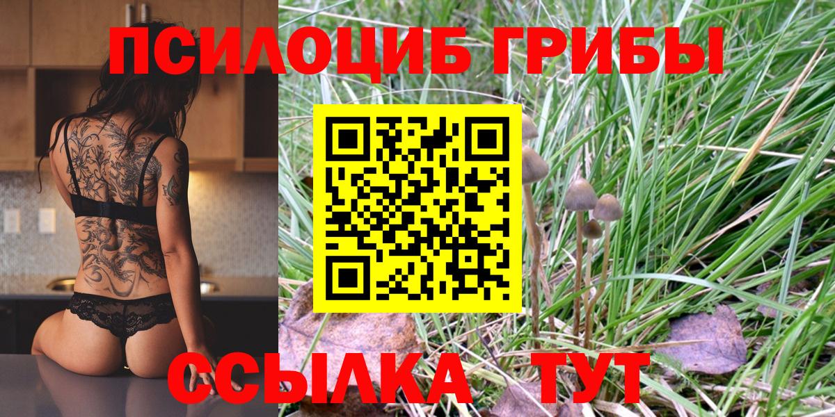 Галлюциногенные грибы Magic Shrooms Саранск