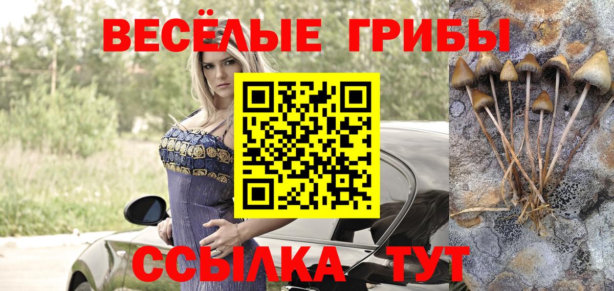 Псилоцибиновые грибы мухоморы  Галлюциногенные грибы Psilocybine cubensis  Вход с VPN  Саранск 